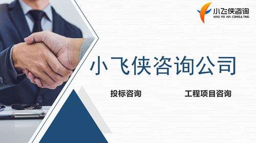 河南小飛俠企業(yè)管理咨詢