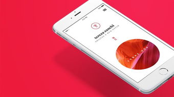 指莊品牌形象設(shè)計