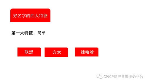 肖一刀 從無到有,打造豬肉品牌丨2018第三屆中國豬產業鏈生態圈年會
