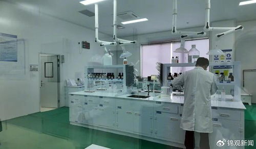 政府搭臺 一個 云工廠 解了一批中小企業的難