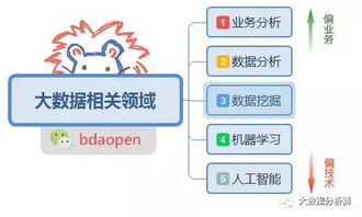 雨沐田 大數據相關的職業領域有哪些