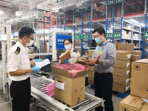 同心 共稽 追求卓越 南京海關(guān)企業(yè)管理和稽查處黨支部黨建品牌創(chuàng)建紀實